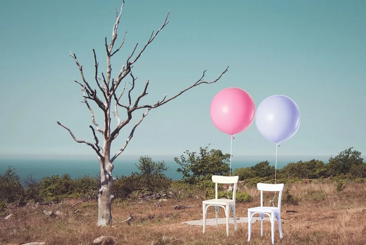 chair, chairs, balloon, two, balloons, tree, one, leafless, burnt, burned, dry, barren, unpleasant, marriage, divorce, b